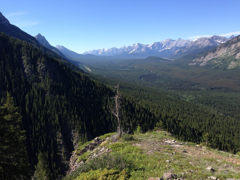 Grizzly Peak – Billy Goat Hiker